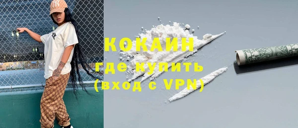 стаф Ростов