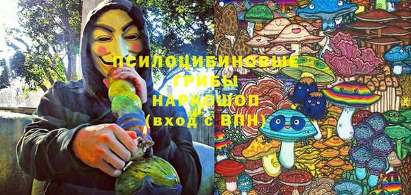 стаф Ростов