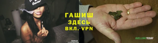стаф Ростов
