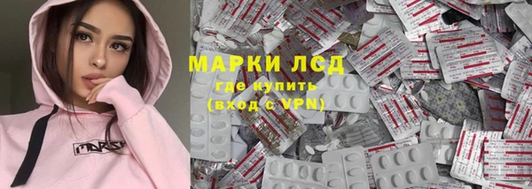 гашик Россошь