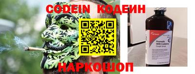 шишки Тара