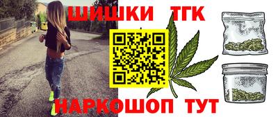 шишки Тара