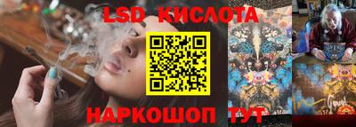 шишки Тара