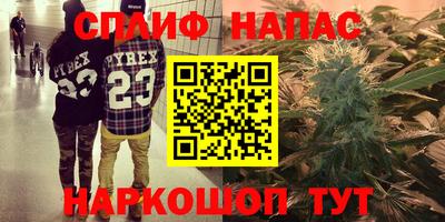 шишки Тара