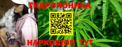 шишки Тара