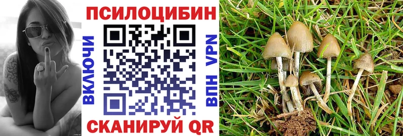 магазин продажи наркотиков  KRAKEN   Галлюциногенные грибы ЛСД  Сланцы 