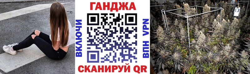 MEGA сайт  Сланцы  Конопля план  наркотики 