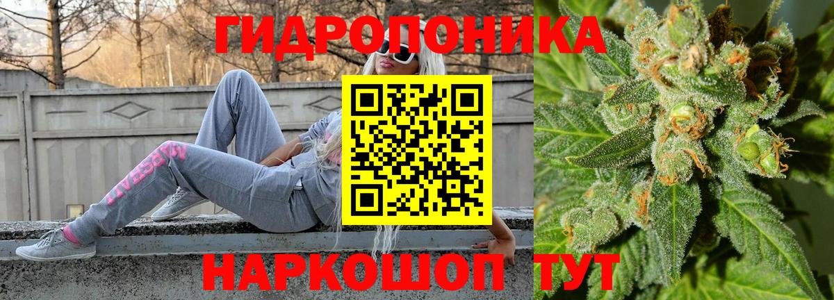 Канабис семена Сланцы